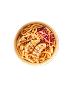 Chicken Gyoza Udon Noodle