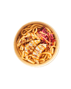 Chicken Gyoza Udon Noodle