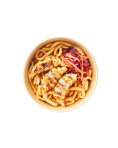 Chicken Gyoza Udon Noodle