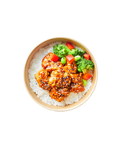 Chicken Teriyaki Donburi