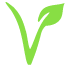 Vegan